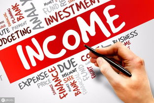 高新技术企业中信息科技领域技术开发的产品服务收入探析